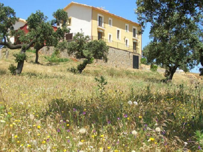 Cortijo El Criadero El Hoyo Esterno foto